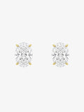 Charlotte Oval Cut Studs | Gold